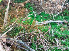 -南京市无想山景区