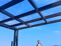 -瑰丽酒店·海吧·天际下午茶·现场DJ·天台酒吧