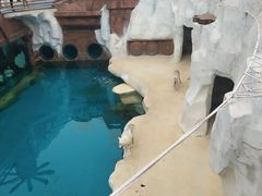 -南戴河国际娱乐中心