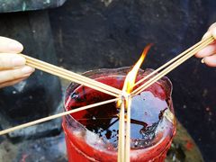 -深圳仙湖植物园