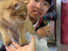 -顺强宠物诊所·狂犬免疫·夜诊·骨科(嘉定店)