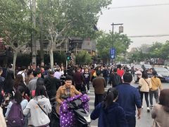 -嘉定紫藤园