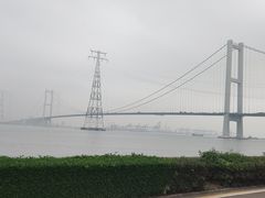 -海鸥岛