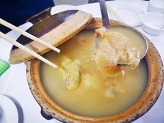 雞煲翅-新陶陶酒家