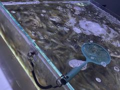 -聚盛源蒸汽海鲜火锅烤肉自助(巨川金海岸购物广场店)