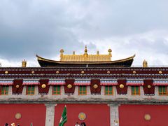 -塔尔寺菩提树