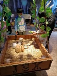 -酷嗒动物文化乐园(cutezoo西溪乐天城店)