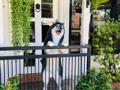 -TrueLove @ Neverland (Husky Cafe)