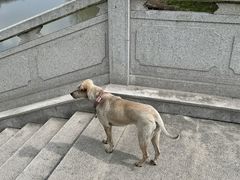 -上海财神庙