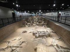 -洛阳周王城天子驾六博物馆