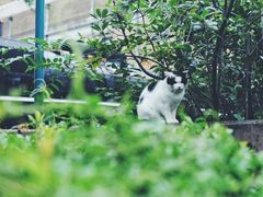 -东京国立博物馆