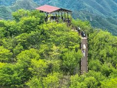 -大岭沟猕猴桃谷风景区