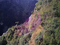 -苍山感通索道
