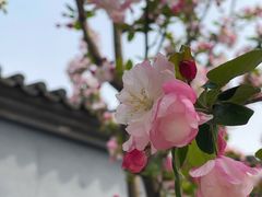 -红螺寺