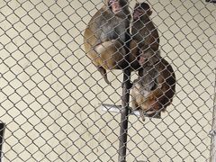 -森林公园(尖草坪区)