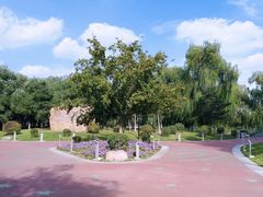 -莫子山公园
