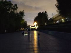 -宝安西湾红树林湿地公园