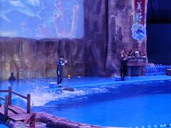 -华夏文旅海洋公园