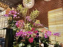 -天津君隆威斯汀酒店