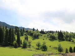 -新疆那拉提国家旅游度假区