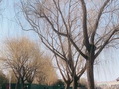 -百脉泉景区