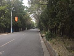 -兰山公园