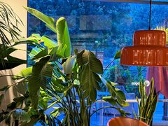 -Wagas沃歌斯(枫蓝国际店)