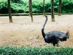 -杭州野生动物世界