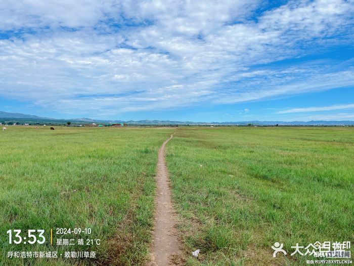 敕勒川草原图片