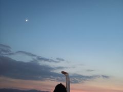 -长虫山生态公园风景林