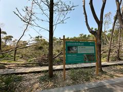 -同里国家湿地公园