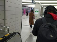 -大望路(地铁站)