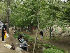 -白水寺森林公园