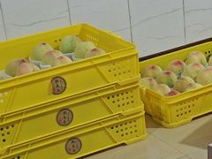 -老袁家蜜桃农场·阳山水蜜桃