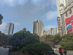 -上海雅居乐万豪侯爵酒店