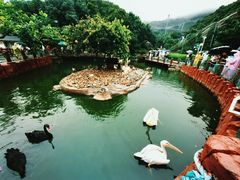 -大连老虎滩海洋公园