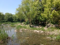-新江湾城公园