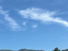 -秦始皇帝陵博物院-丽山园