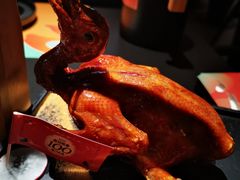 -羽鸽集·乳鸽专门店·地道顺德菜(岭南站店)