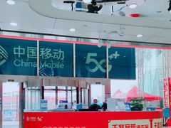 -中国移动(高升桥营业厅)