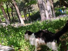 -燕郊植物园
