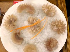 -蜀辣居鲜货老火锅(双流万达店)