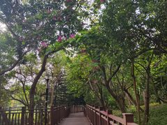 -立新湖公园