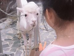 -上海大自然野生昆虫馆(东方明珠·爬宠昆虫探索中心)