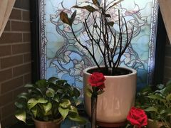 -安德烈俄式西餐厅(中央大街店)