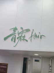 -青霖·飘逸造型