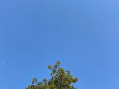 -华林禅寺
