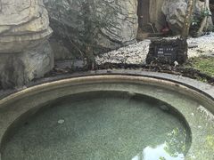 -海口观澜湖火山温泉谷
