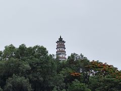 -榴花公园