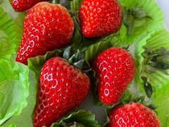 -果松木炭酸菜铜火锅·外婆参鸡汤